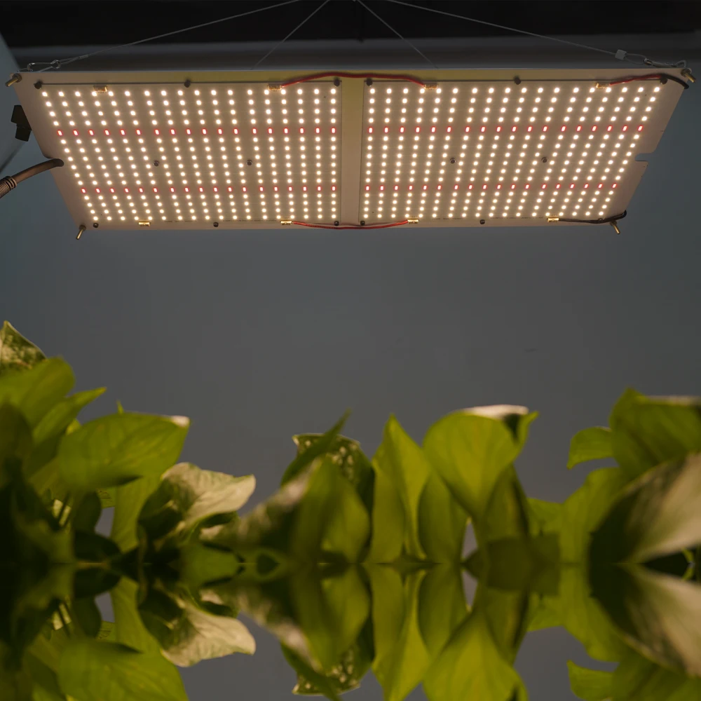 Maaadro Wholesale Cheap Professional Lm301h Lm301b 5088 240W Grow Light For