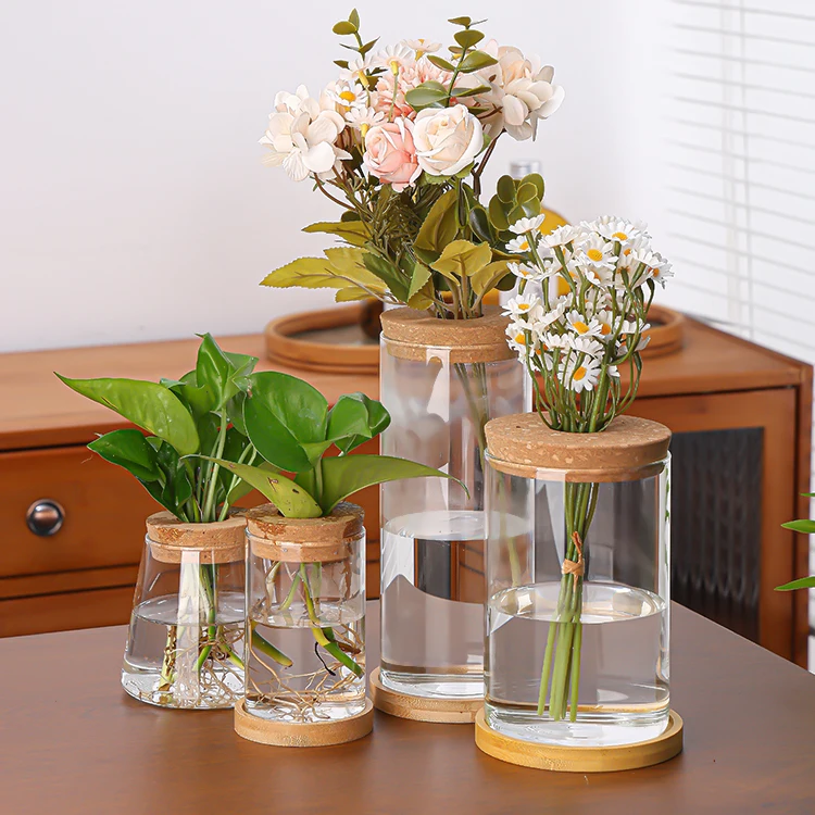 Custom 500ml Glass Terrarium Vase Propagation Vase Containers with Cork Wooden Saucer for Hydroponic Plants Tabletop Decoration