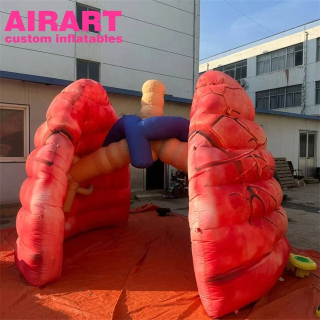 Healthy inflatable lung model, factory price inflatable lung for outdoor advertising