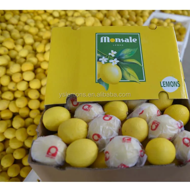 Montale Size 88 100 113 125 138 Fresh Wholesale Eureka Lemon