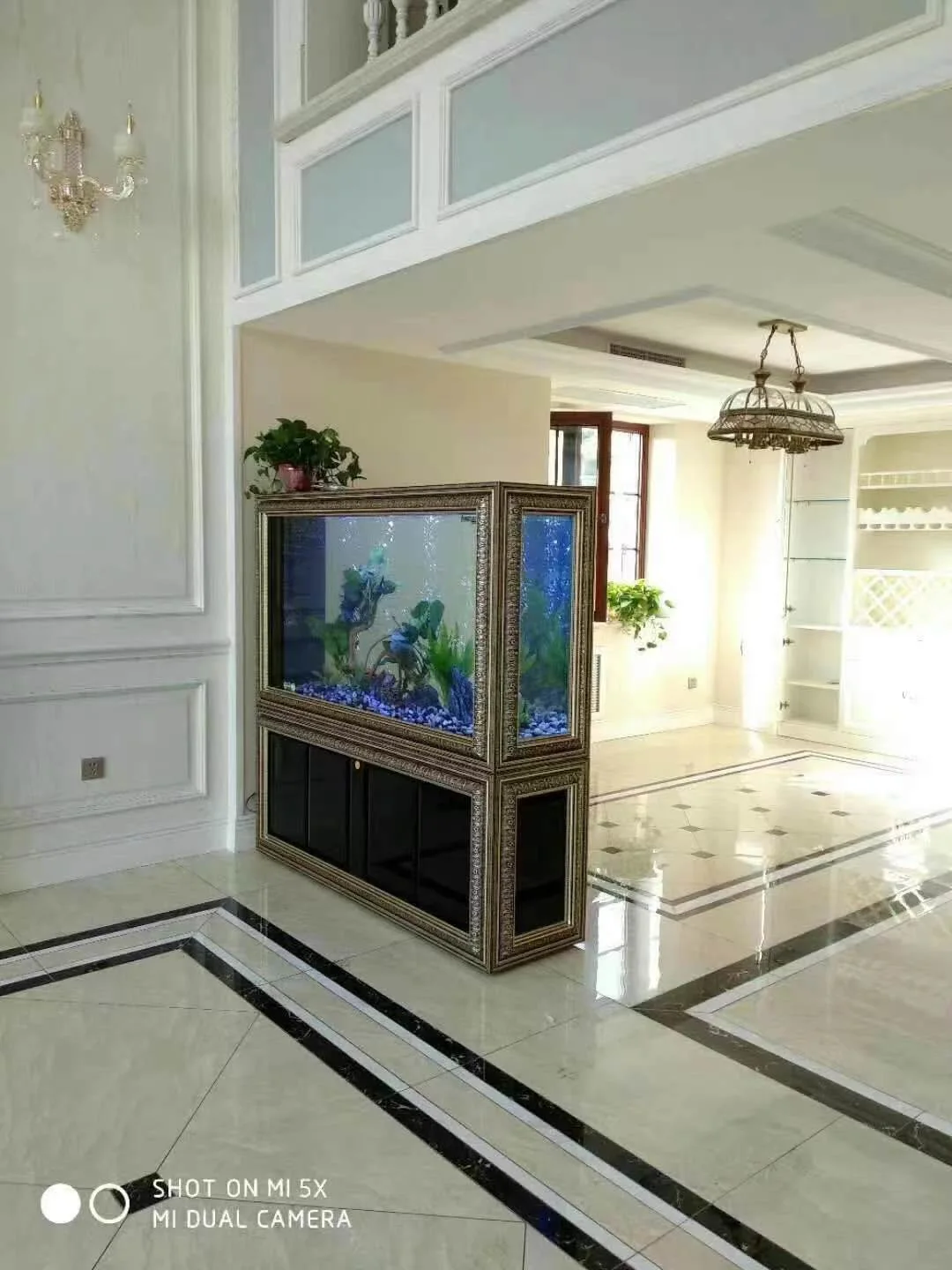 Ultra White Glass Tank Cleaner Tropical Tanks Curve Aquariums Acrylic 10 Gl Mini Table Bowl Decoration Fish Tank