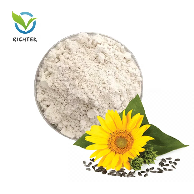 Golden supplier hulled sunflower protein powder 60% plant-based sunflower protein for baby food sunflower kernal protein 60%