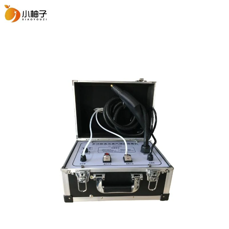 
Multifunctional 3000w plastic sterilization equipment steam electronic steam sterilizer 