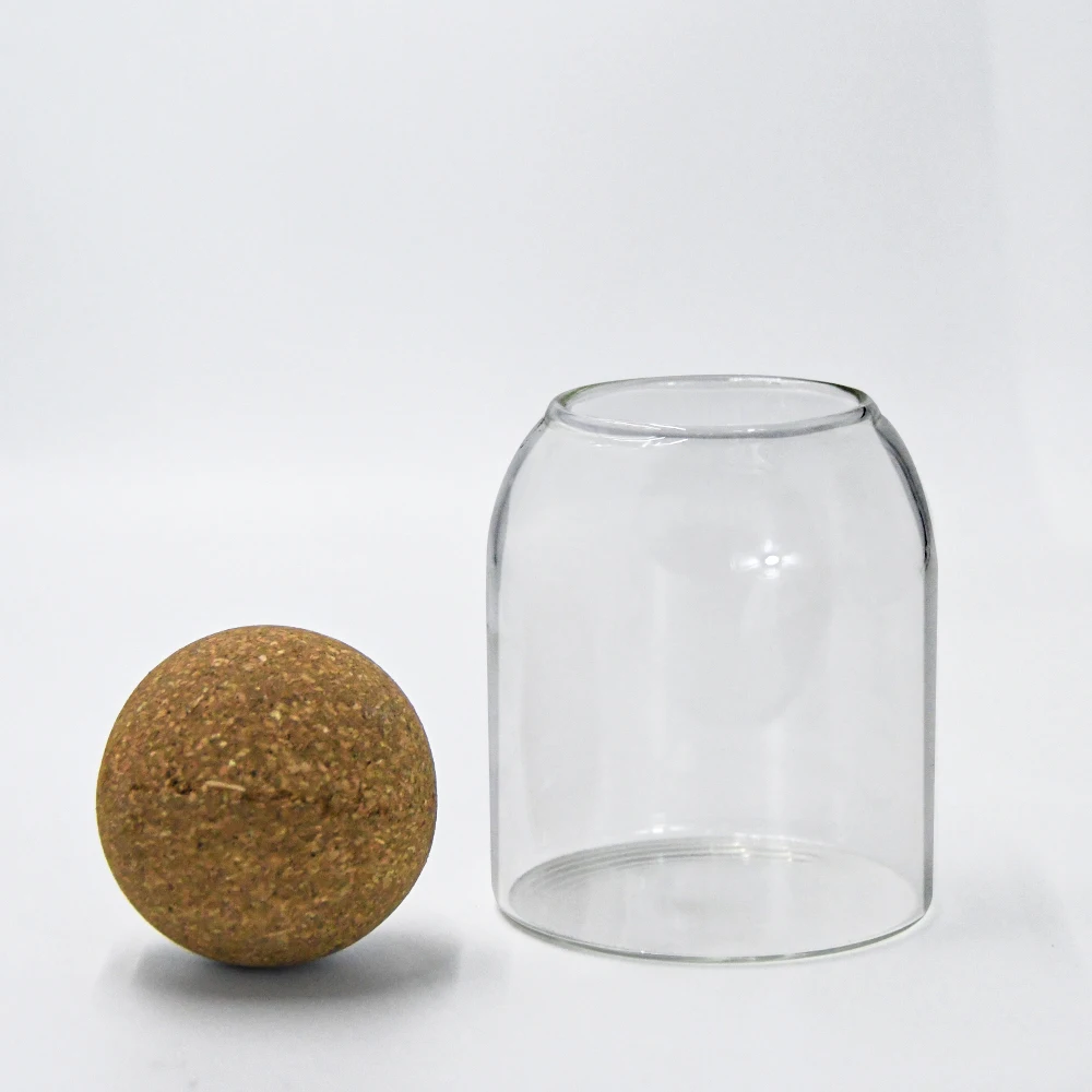 Clear glass planter terrarium vase for pot planting with wooden cork lid 500ml 800ml 1000ml tabletop DIY glass bottle