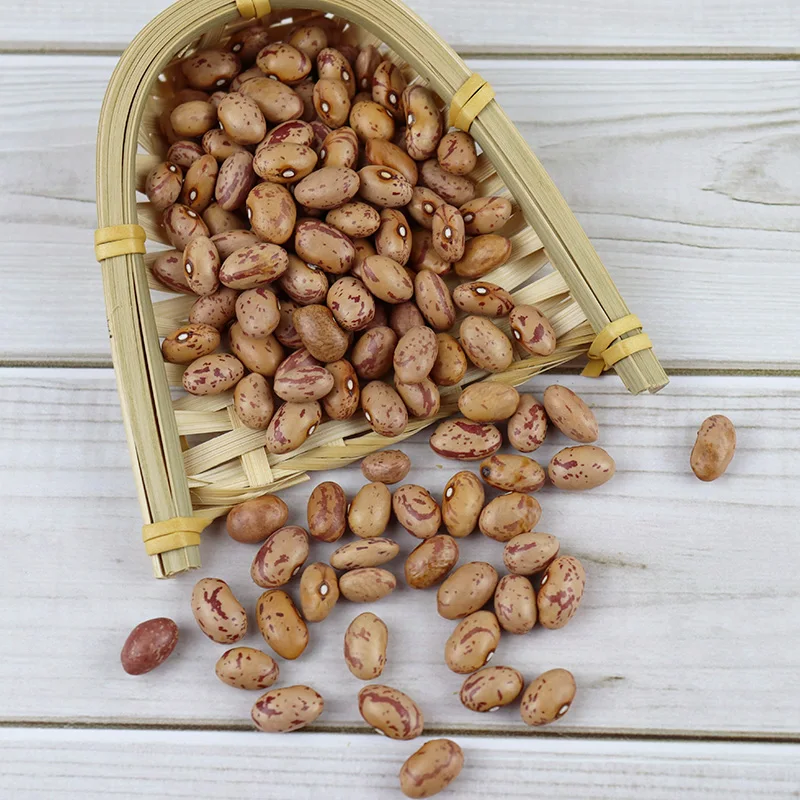 Premium Pinto Beans / Natural Dried Light Speckled Kidney Pinto Beans for sale