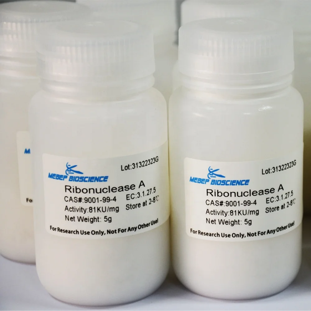 
RNase A , Ribonuclease A RNase I lyophilized,DNAse free 