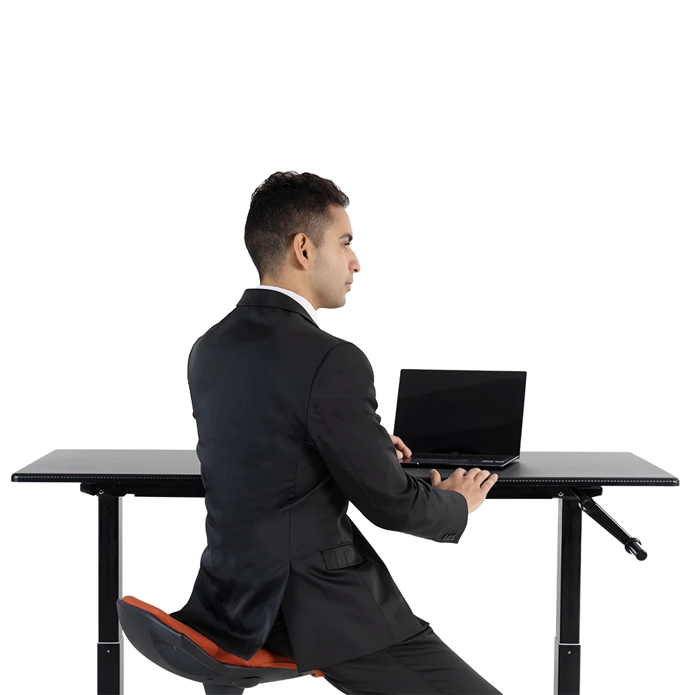 Eisdir M2  Manual Hand Crank Height Adjustable  Sit To Stand Office Computer desk with Wood Desktop