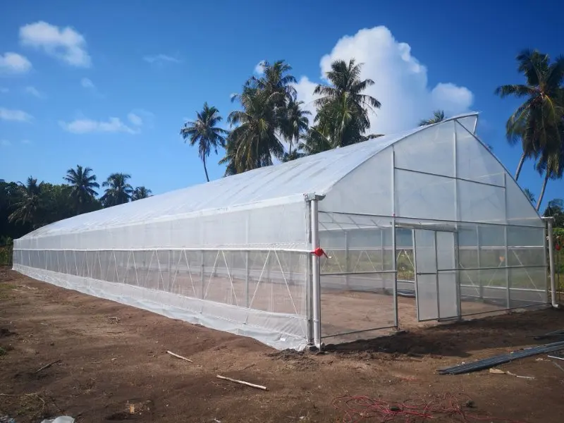 Zambia Low Cost Greenhouse 30 X 100 Greenhouse Modern Greenhouse For Vegetables