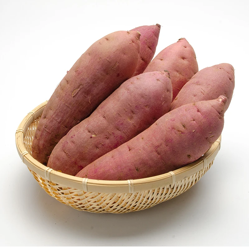 
Healthy japanese organic deliciouspurple sweet potato for wholesale 