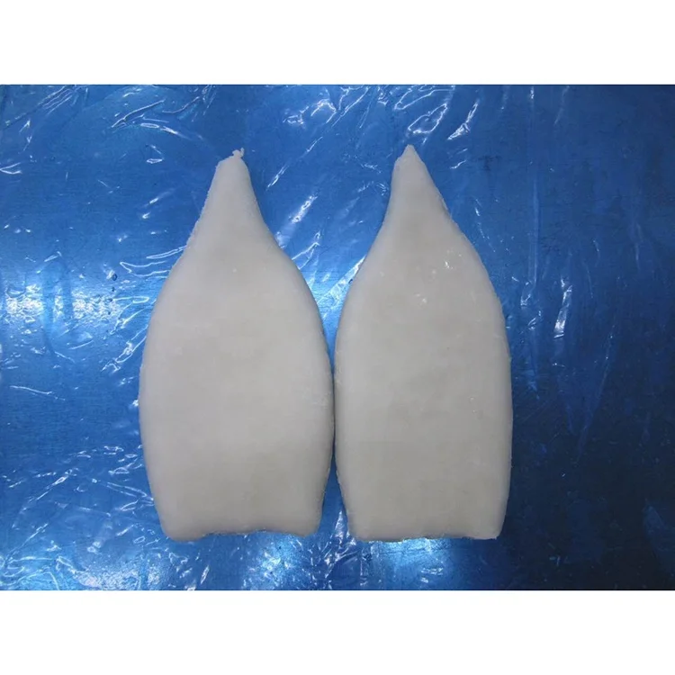 Factory direct frozen squid whole with the best price