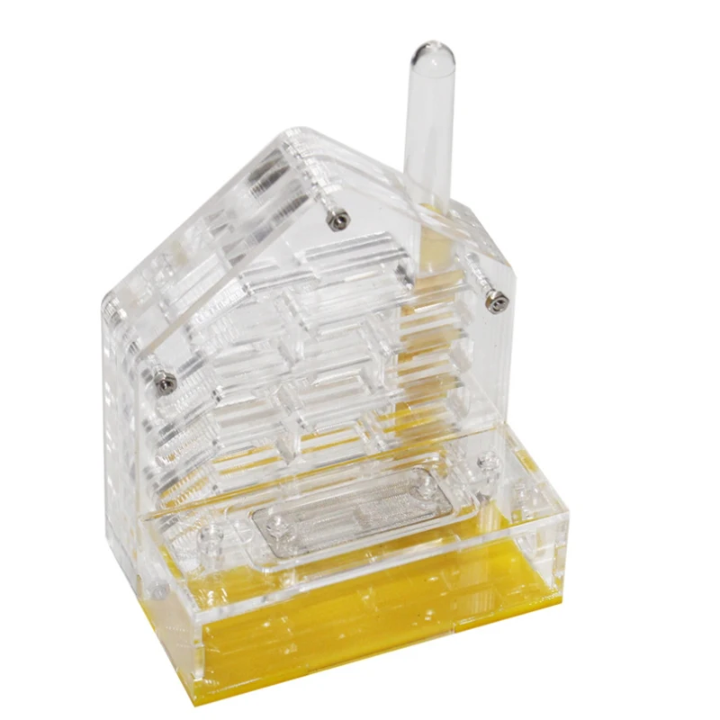 Compact Acrylic Ant Enclosure Ideal for Beginners and Small Ant Colonies