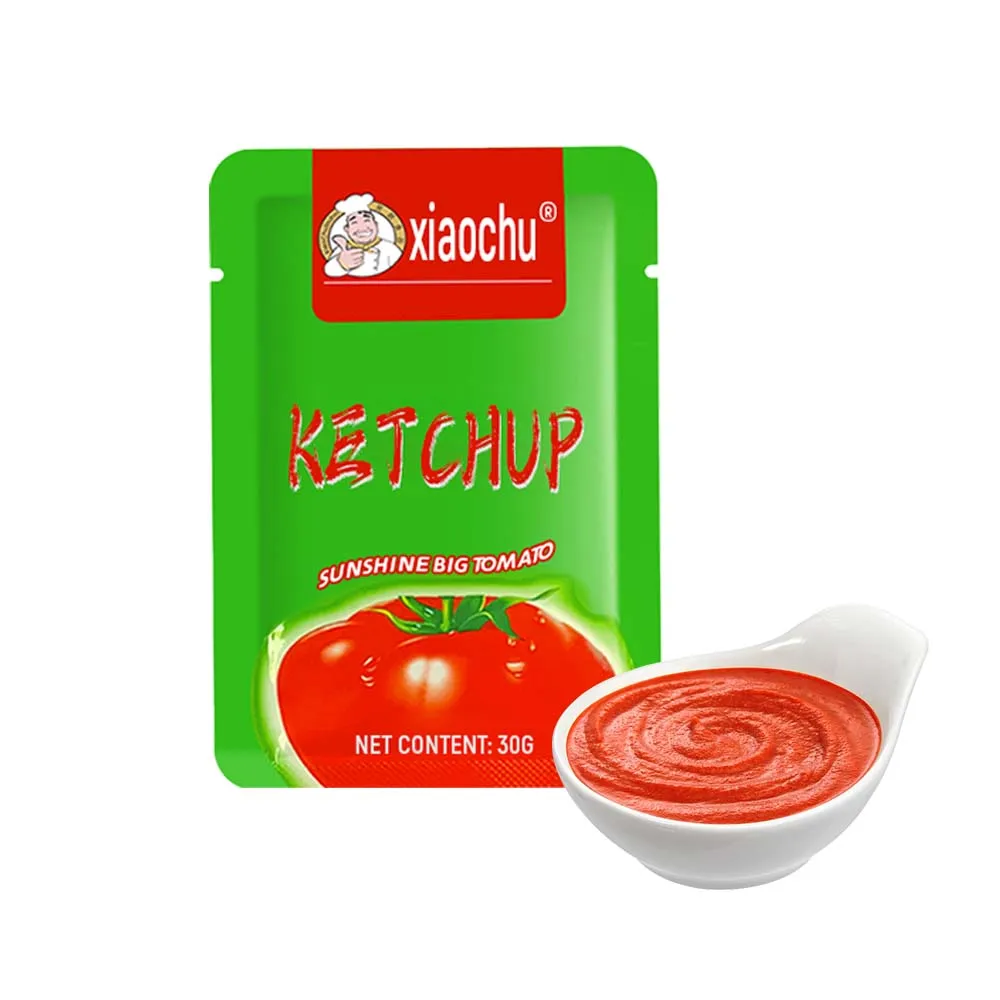 Wholesale hot sale ketchup in dishes high quality Brix 22%-28% delicious Natural red Tomato Ketchup