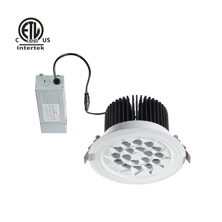 Shen Zhen Dayton LED Down Ceiling Light High Power Cob 30W Brand Chips Recessed Downlight 80lm/w Spotlight