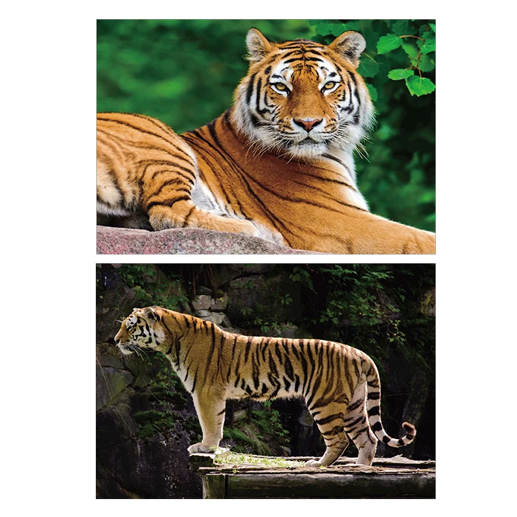 
Tiger Round Or Square Drill Diamond Embroidery Kits Home Decoration Gift Diy Full Diamond Painting 