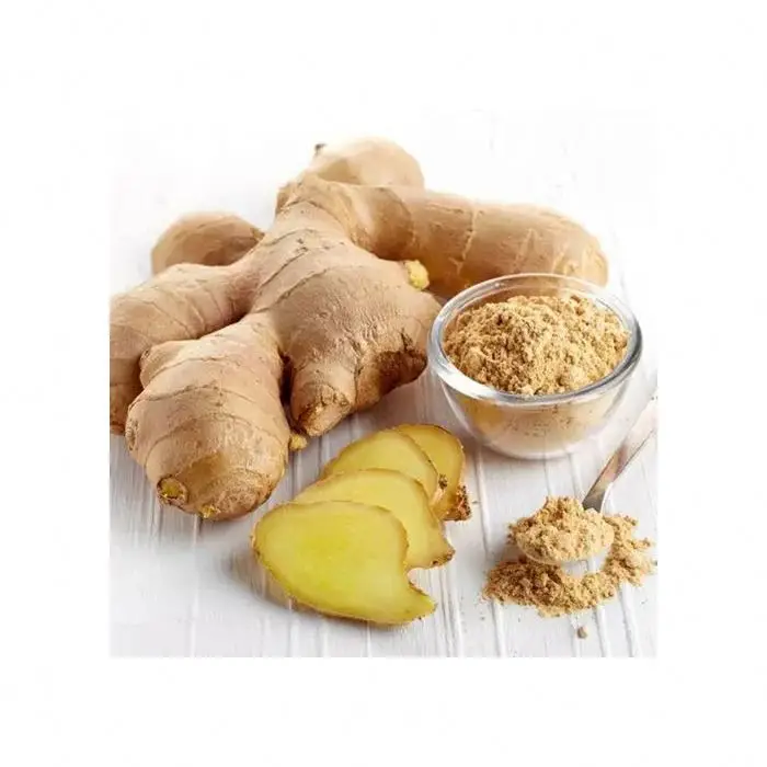 
Sweet Fresh Holland Potato Seeds 2021 Price 