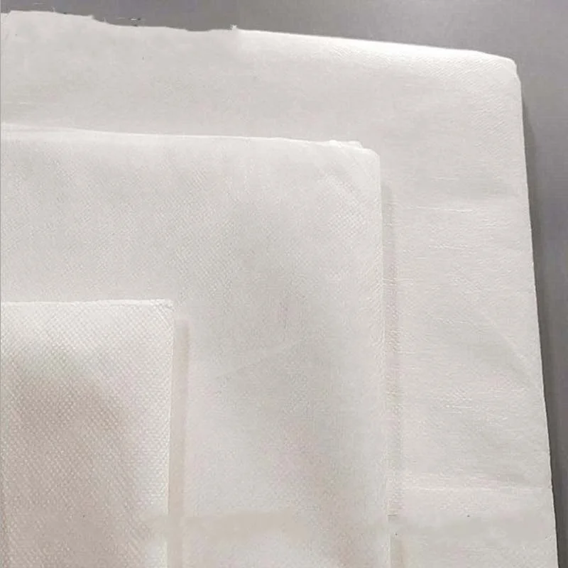 180days compostable polylactic acid 50g non woven PLA fabric rolled customize