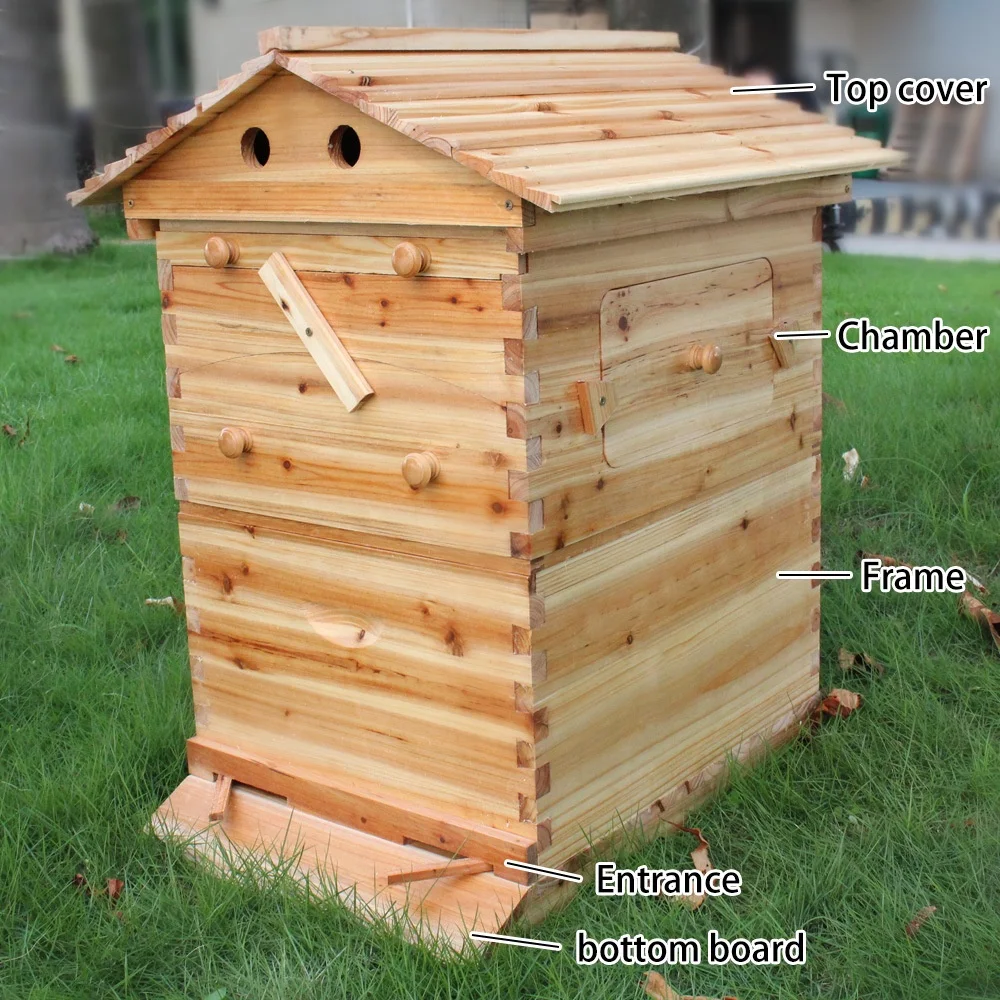Automatic Wood Bee Hive Starter Kit with 7 Pcs Frames for Farm and Beekeeping Condition New and Used