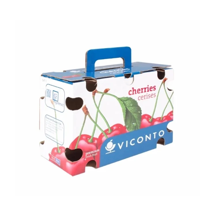 Factory price rigids corrugated shipping fresh fruit vegetable Tomatoes packaging cardboard gift box