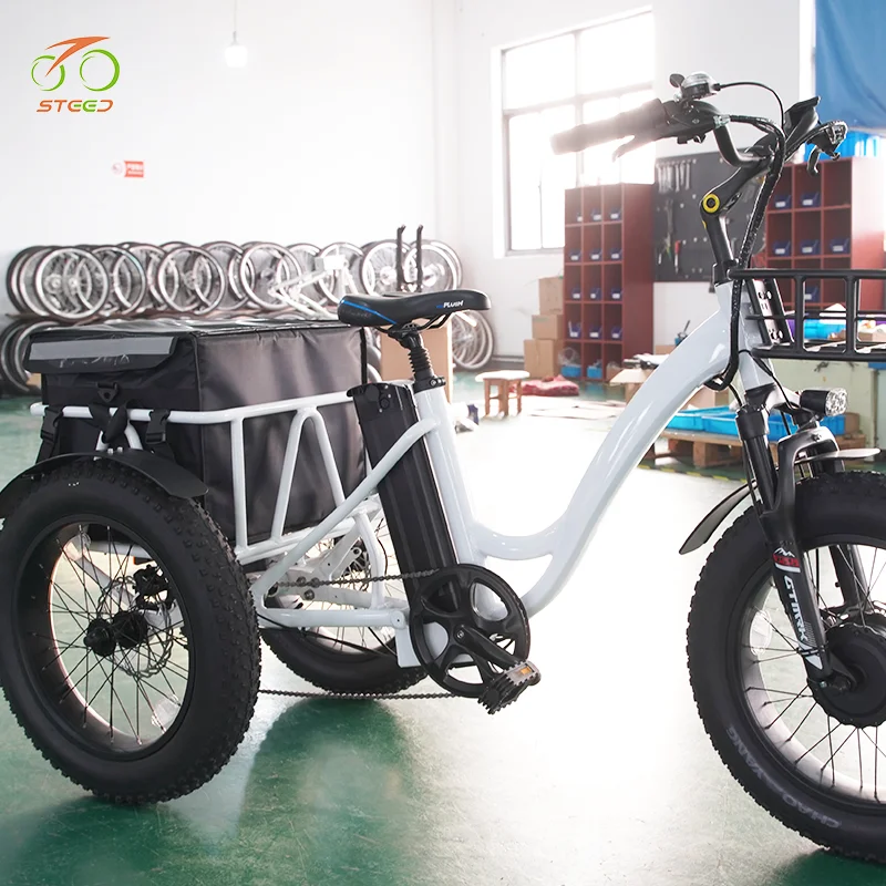 Steed 48 volt  battery cargo ebike 48v 3 wheels electric bike bicycle electric cargo