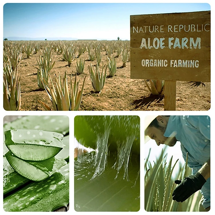 Private Label Extract Skin care Aloe Vera Lightening Moisturizing Soothing 100% Pure Natural Organic face serum Aloe Vera Gel