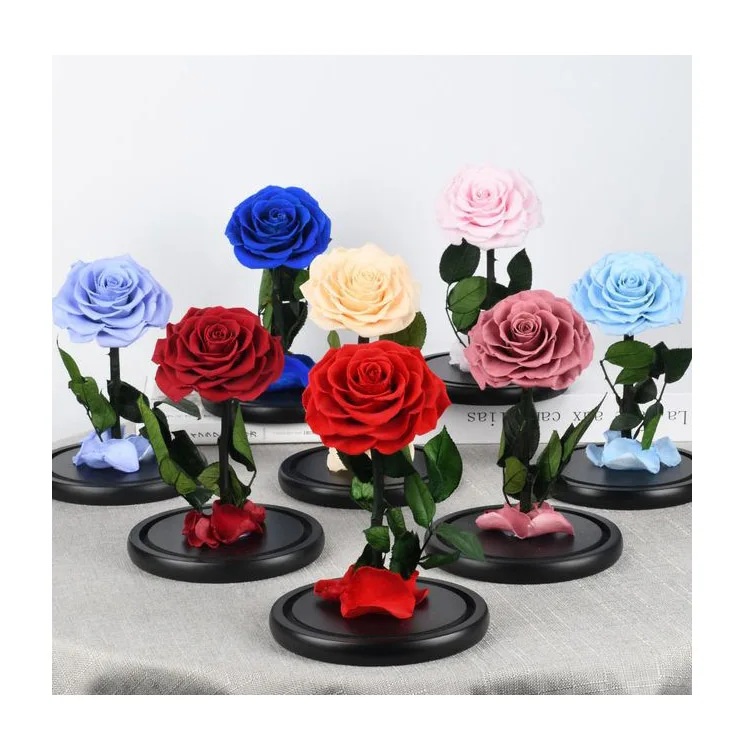 Wholesale Beauty Beast Enchanted Bella Rose preserved rose dome preserved rose in glass