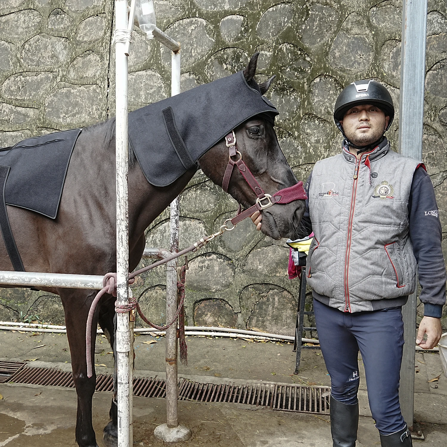 SODOLUX Led Red Light Near Infrared Light Pet 660nm 850nm Lamp Horse Red Light Therapy Pad Machine For Horse Back