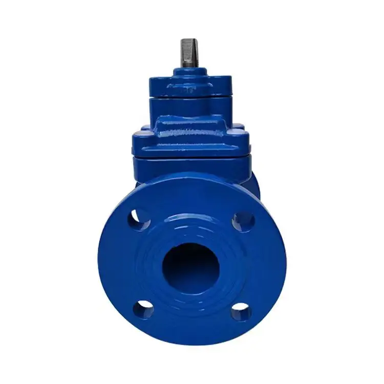 F4 Gate Valve DIN3352 DN125 GGG50 Liquid Double Flanged Gate Valve