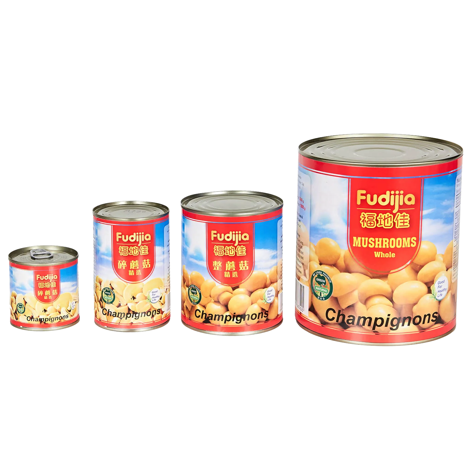 New Season Best Canned Mushroom Canned Button Mushroom Brands OEM factory price good