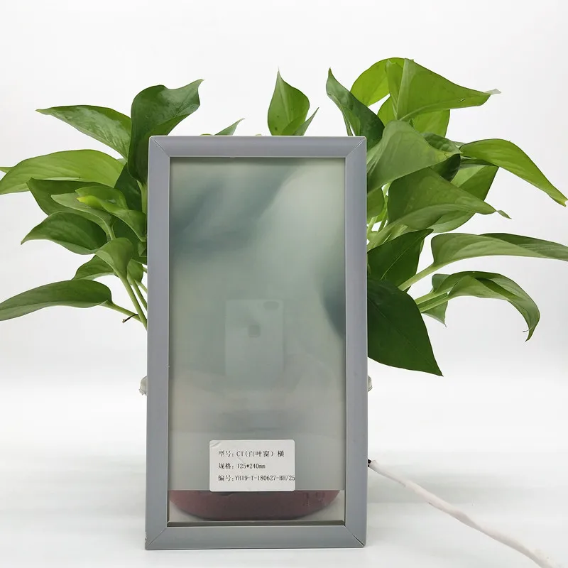 Dynamic Electronic Intelligent Dimming Glass