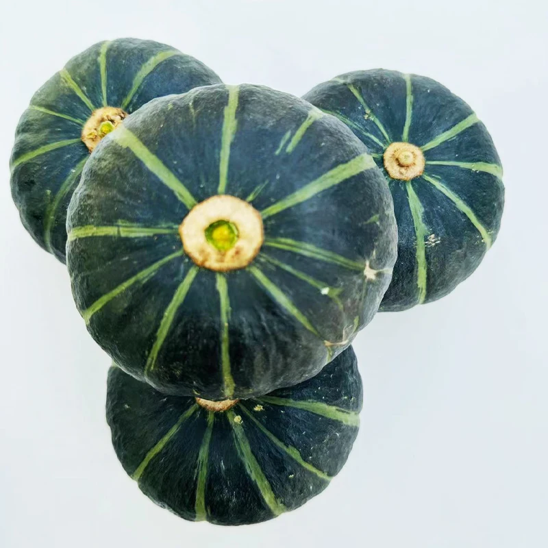 High Quality Cheap Freshly Picked Pumpkin Lot With Quick Preservation Methods