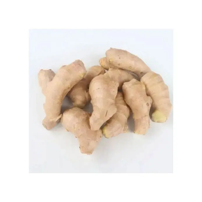 
Sweet Fresh Holland Potato Seeds 2021 Price 
