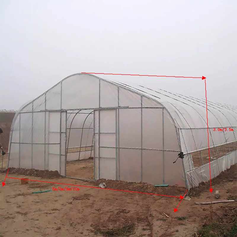 Plastic Film Covered Tunnel Greenhouse with Hot-dip galvanized Pipes for fastening Tomatoes and Melons Grow