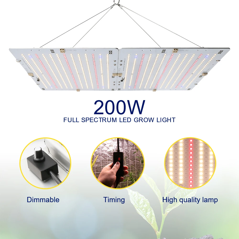 Xinjia Lighting 2000W Ultra-thin Panel Indoor Plant LED Grow Light of ZW0333