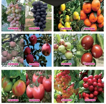 agricultural amino acid plant amino acid fertilizer