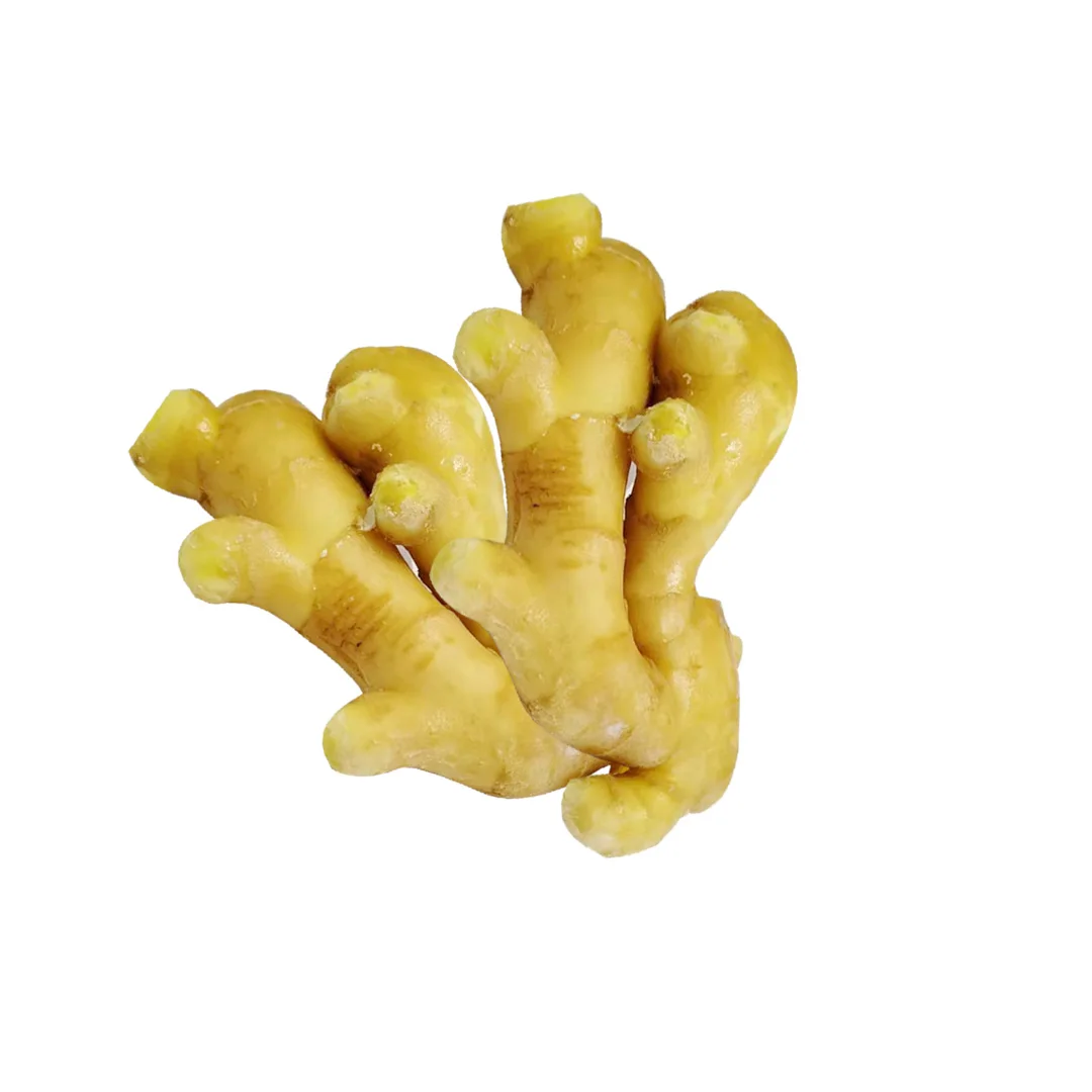 New High Quality wholesale Air Dried Chinese Mature Sushi Fresh Ginger Prices