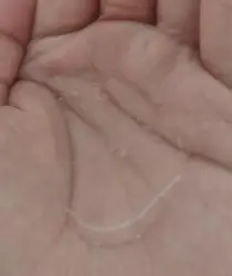 400ml China Supplier  Edge Control Ultra Glued Styling Style Eco Kids For Black Waves Wax Cream Professional Bulk Mens Hair Gel