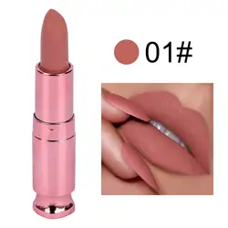 2023 New Products Cruelty Free Makeup Lipstick Mate Lipstick Golden Rose Creamy Waterproof Pink Lipstick