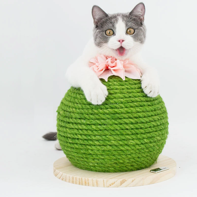 Wholesale New Sisal Mini Cute Small Flower Cactus Cat Tree