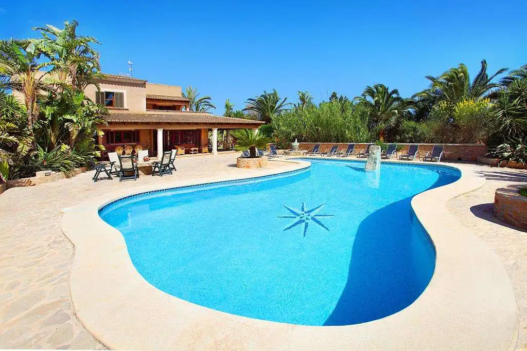 Super Flexible Cement Based Strong Bonding Waterproof Tile Adhesive from The largest factory in China