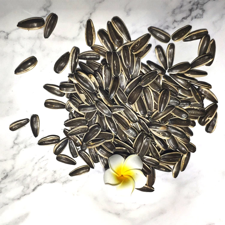 Оптовая продажа Китай Поставщик 5009 семян подсолнечника 361 семян подсолнечника