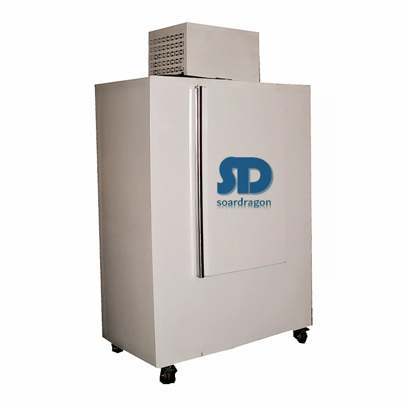 Soardragon custom cold storage bagged deep ice cube freezer Cold wall ice fridge for gas station use