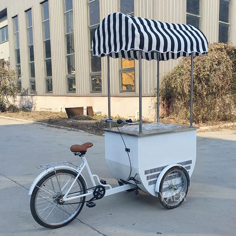 Cycle Ice Cream Cart and Gelato Bike with Freezer, Ice Cream Cycle Fashionable Hand Carts for Selling Fruit Juice on The Street