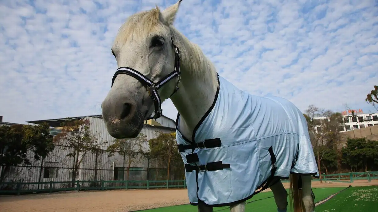mesh horse fly sheet equestrian horse blanket horse clothing supplies products in china rugs