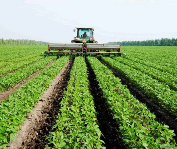 NPK compound fertilizer 20-10-10 granule with organic matter