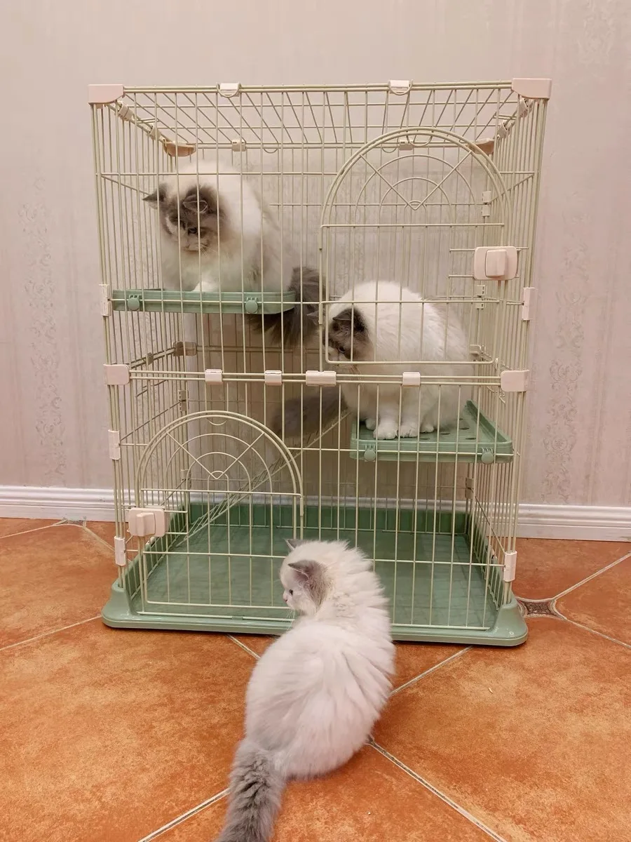 new cat cage669