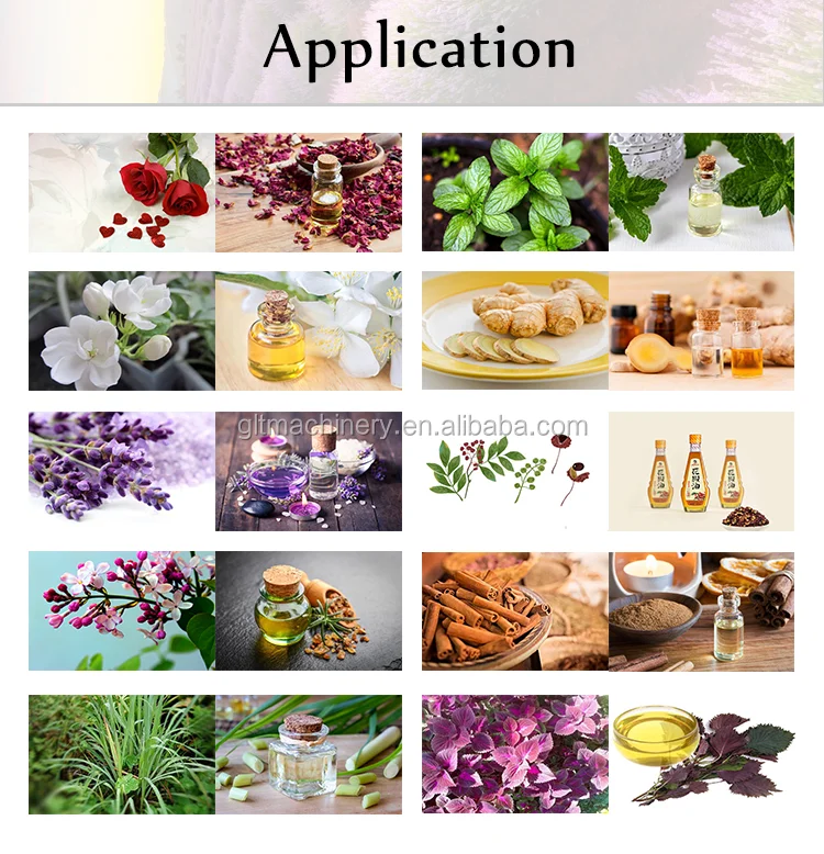 Cold Ethanol Low Temperature Oil Plant Extractor Coconut Oil Extracting Machine Flax Seed Rapeseed Oil Press Machine