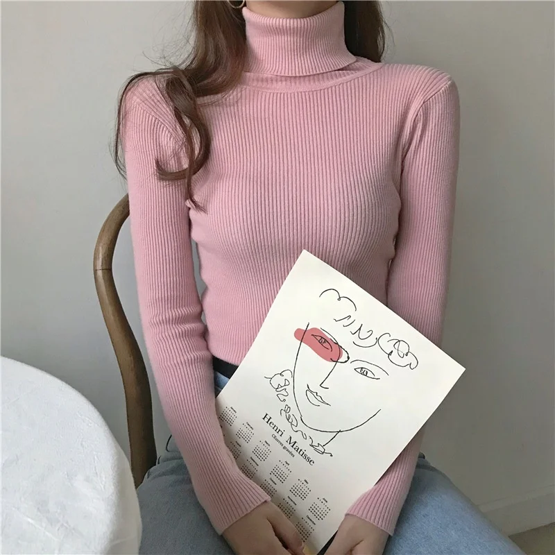 Casual 12 color options Tight Undershirt Long Sleeve Keep Warm Plain Fall Turtleneck Sweater For Women