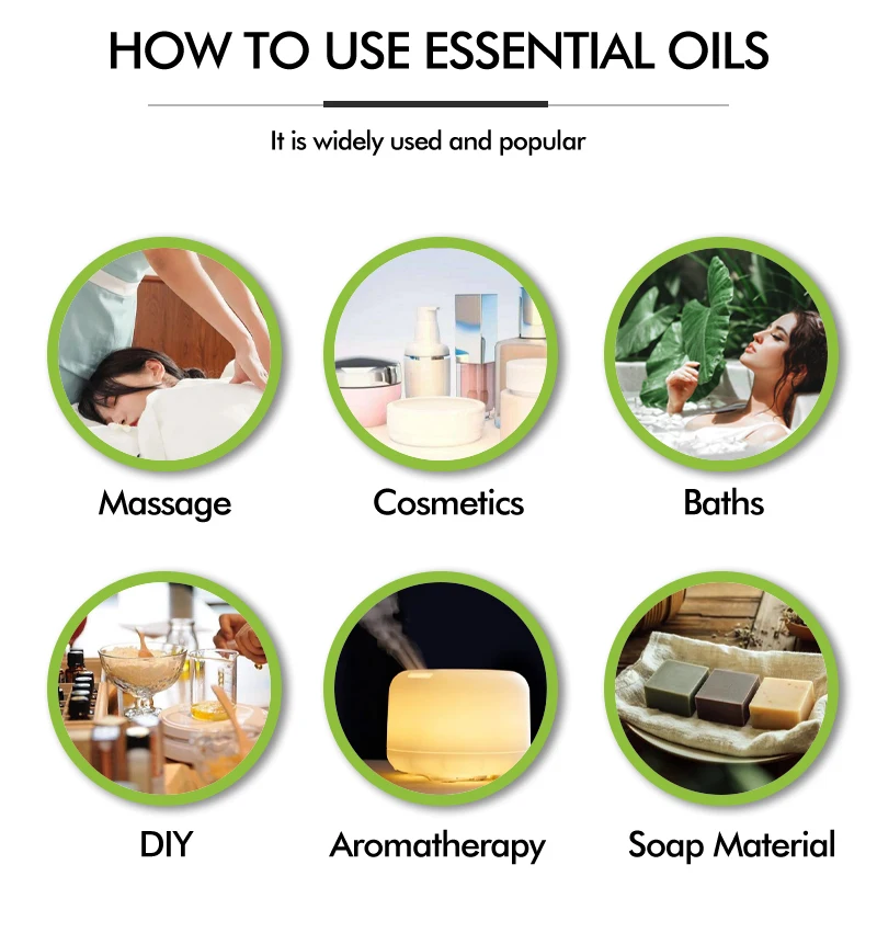 Wholesale Bulk Price Steam Distilled Essential Calamus Root Oil for massage herbal oil