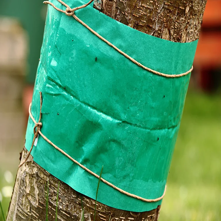 Outdoor insects glue band traps and the tree glue band for effective insect control Grease Band Traps