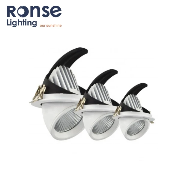 RONSE Adjustable indoor spot light dimmable ceiling light 10W 15W 24W 30W 40W 50W COB LED Wall Washer Downlight